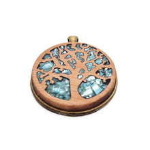 Carregar imatge al visor de la galeria, 01 Turquesa incrustada